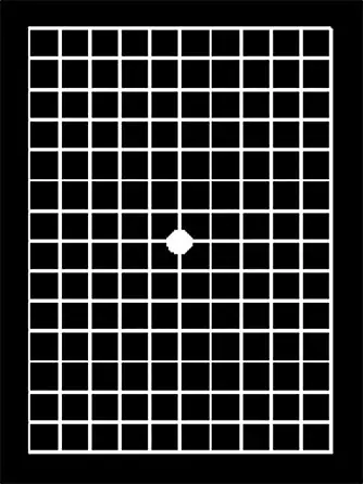 amsler grid for macular degeneration